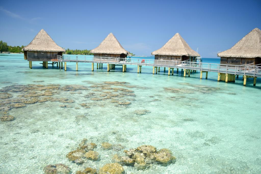 Hotel Kia Ora Resort & Spa Avatoru Bilik gambar