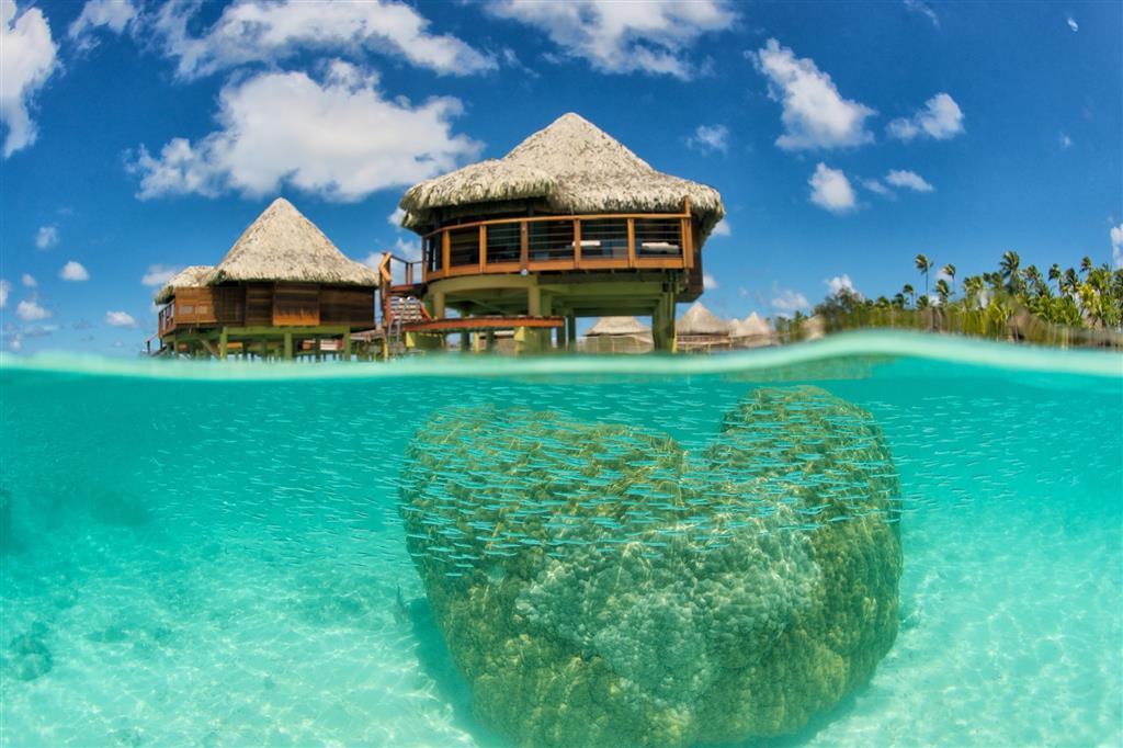 Hotel Kia Ora Resort & Spa Avatoru Dalaman gambar